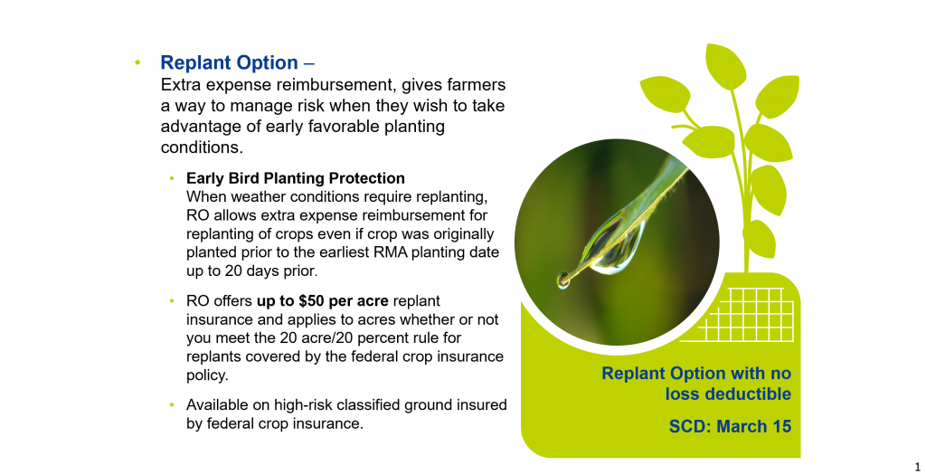 Replant Option